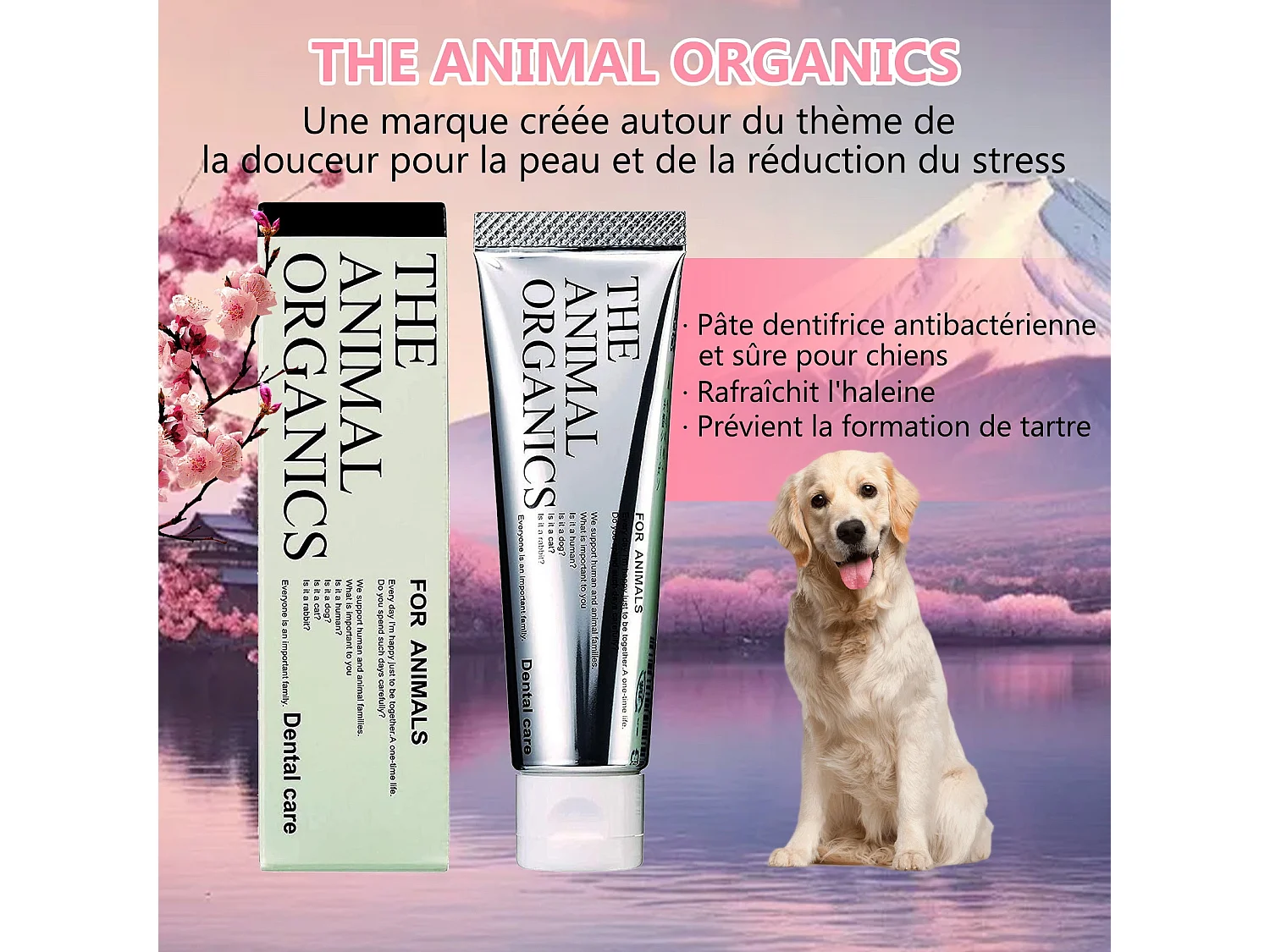 Dentifrice pour cheins 30g, Procure une haleine fraîche, Soins Dentifrice Contre La Mauvaise Haleine, Prevenir le tartre dentaire