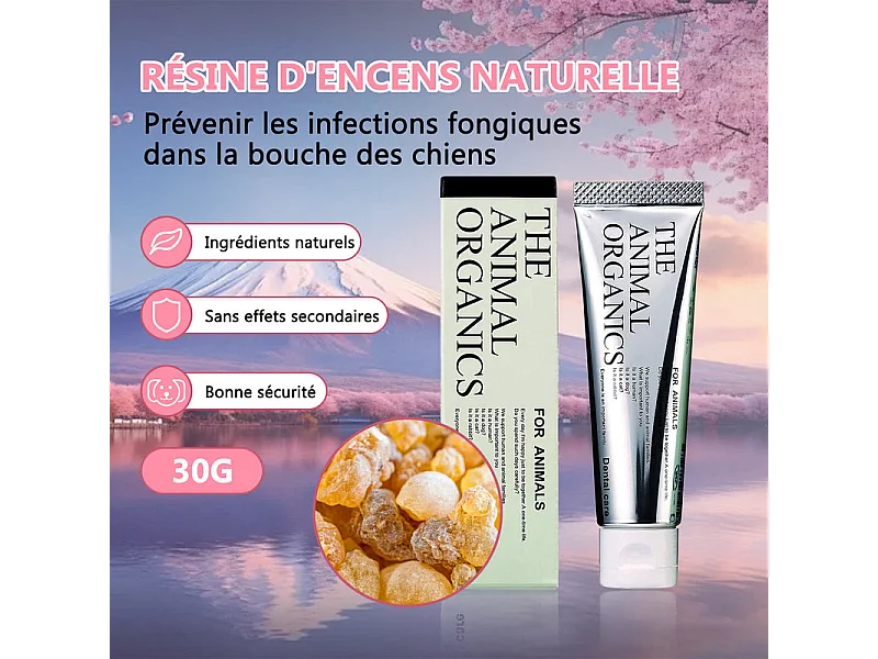 Dentifrice pour cheins 30g, Procure une haleine fraîche, Soins Dentifrice Contre La Mauvaise Haleine, Prevenir le tartre dentaire