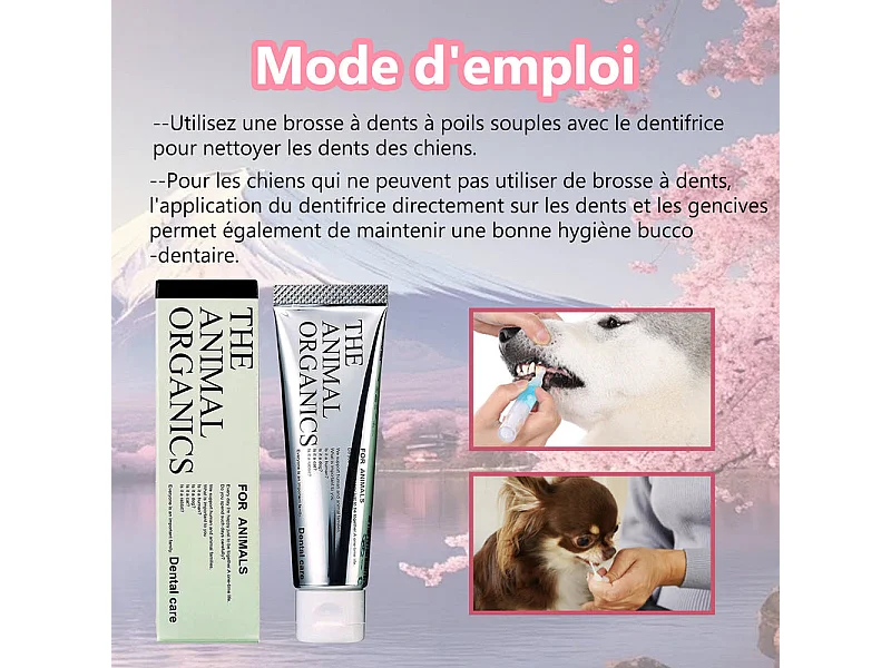 Dentifrice pour cheins 30g, Procure une haleine fraîche, Soins Dentifrice Contre La Mauvaise Haleine, Prevenir le tartre dentaire