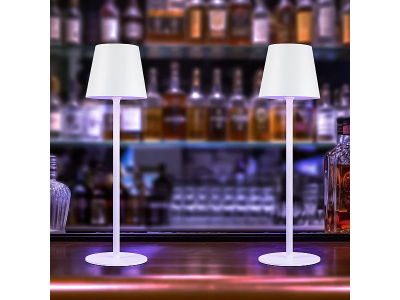 NETTLIFE Lampe de Chevet à Batterie sans Fil， Lot de 2- LED RGB 2600mhA  Lampe de Table d'extérieur Rechargeable Tactile Dimmable Blanc USB