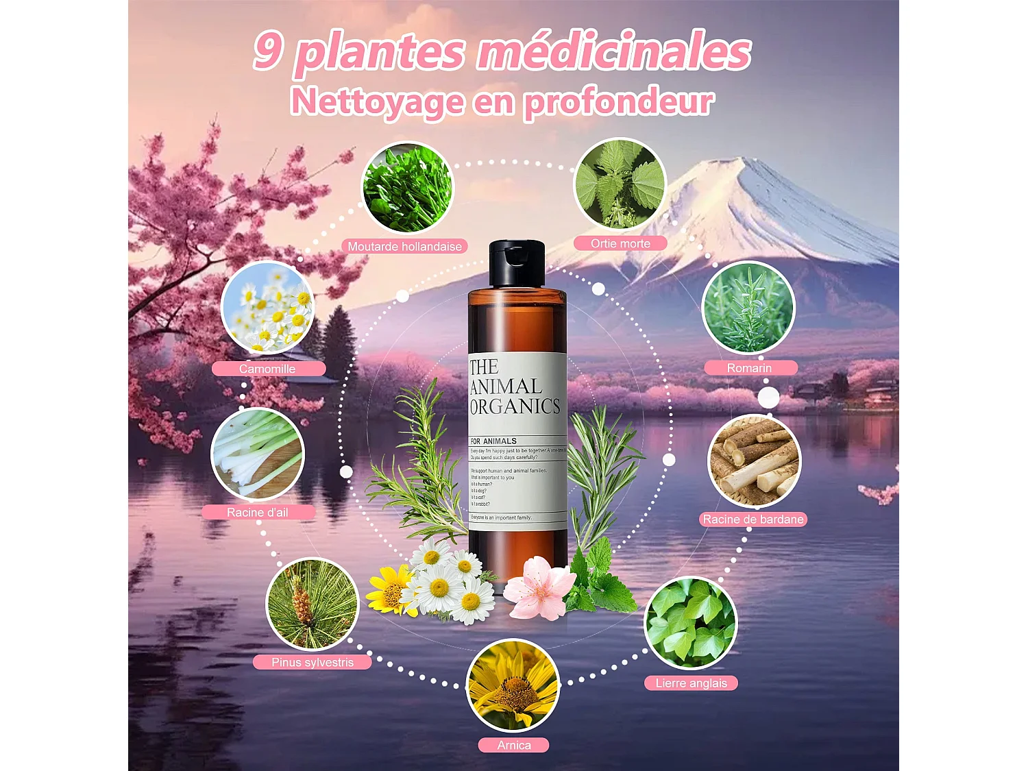 Shampoing chien 250ml,Extrait naturel,Shampoing chien anti odeur Peau sensible,Shampoing Sans additifs,Shampoing Hydratant