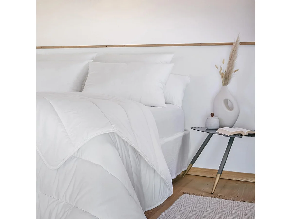 SOFTLINE - Traversin Coton anti-acariens 160 x 40 cm