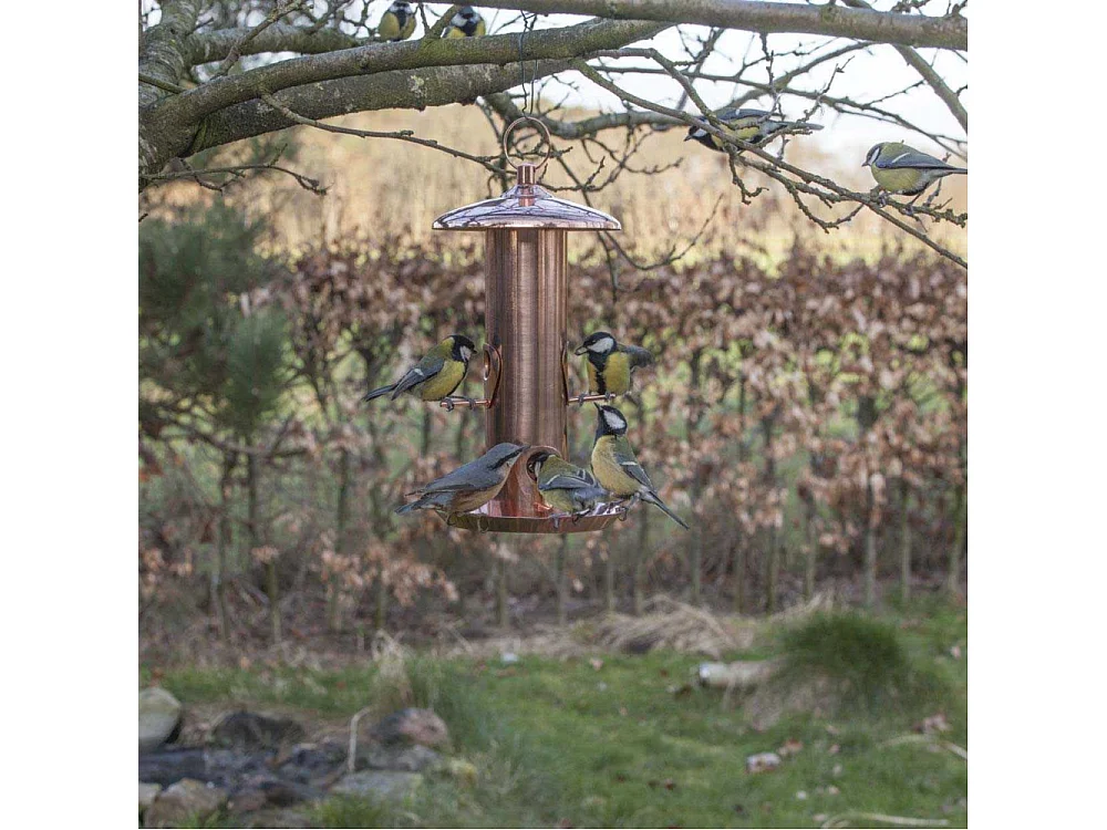 Mangeoire à oiseaux Plaqué cuivre - graines