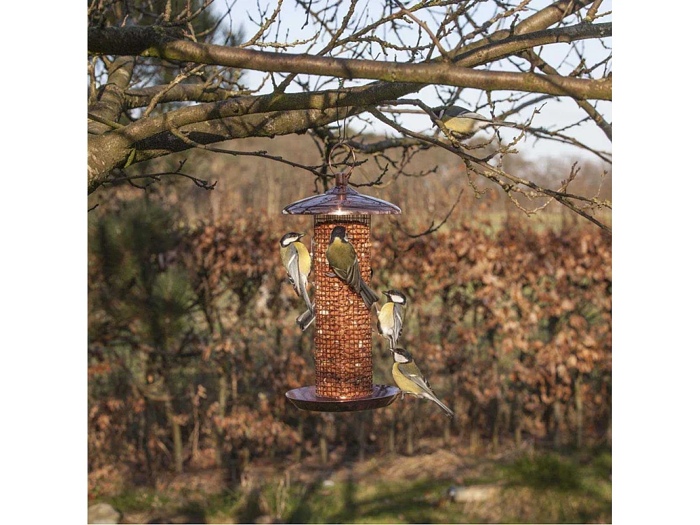 Mangeoire à oiseaux Plaqué cuivre - cacahuètes