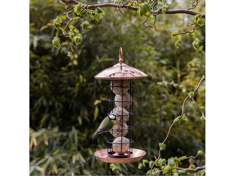 Mangeoire à oiseaux Plaqué cuivre - boules de graisses
