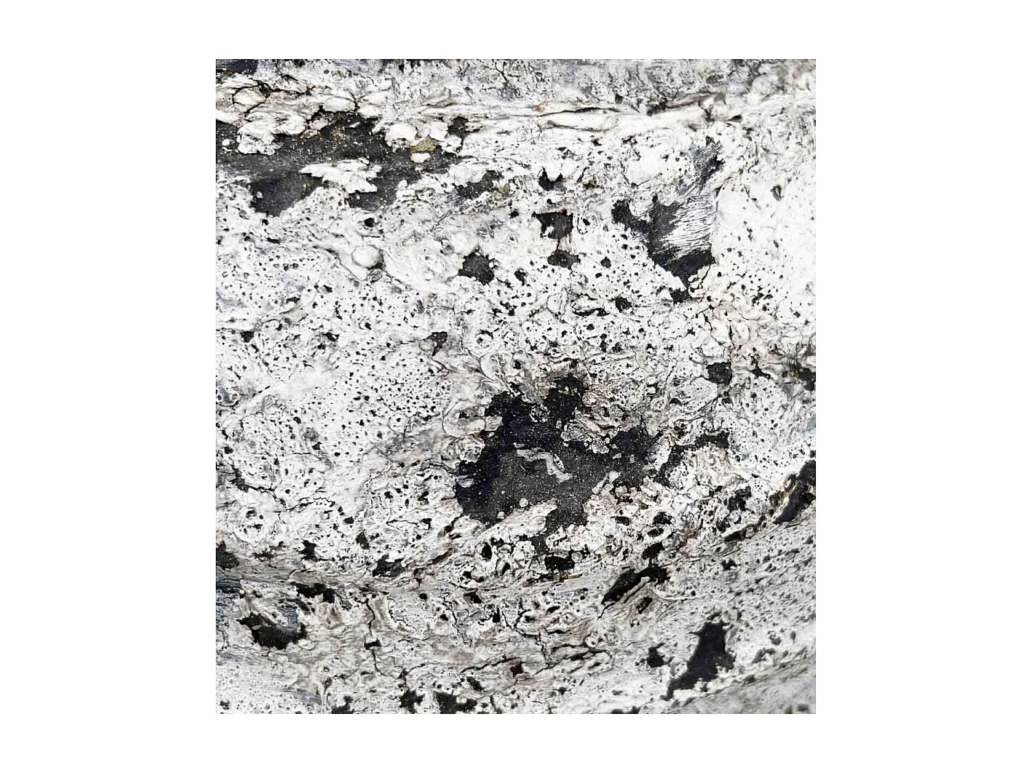 Lampe terre cuite TerreCuite Blanc - Décoration d'Autrefois