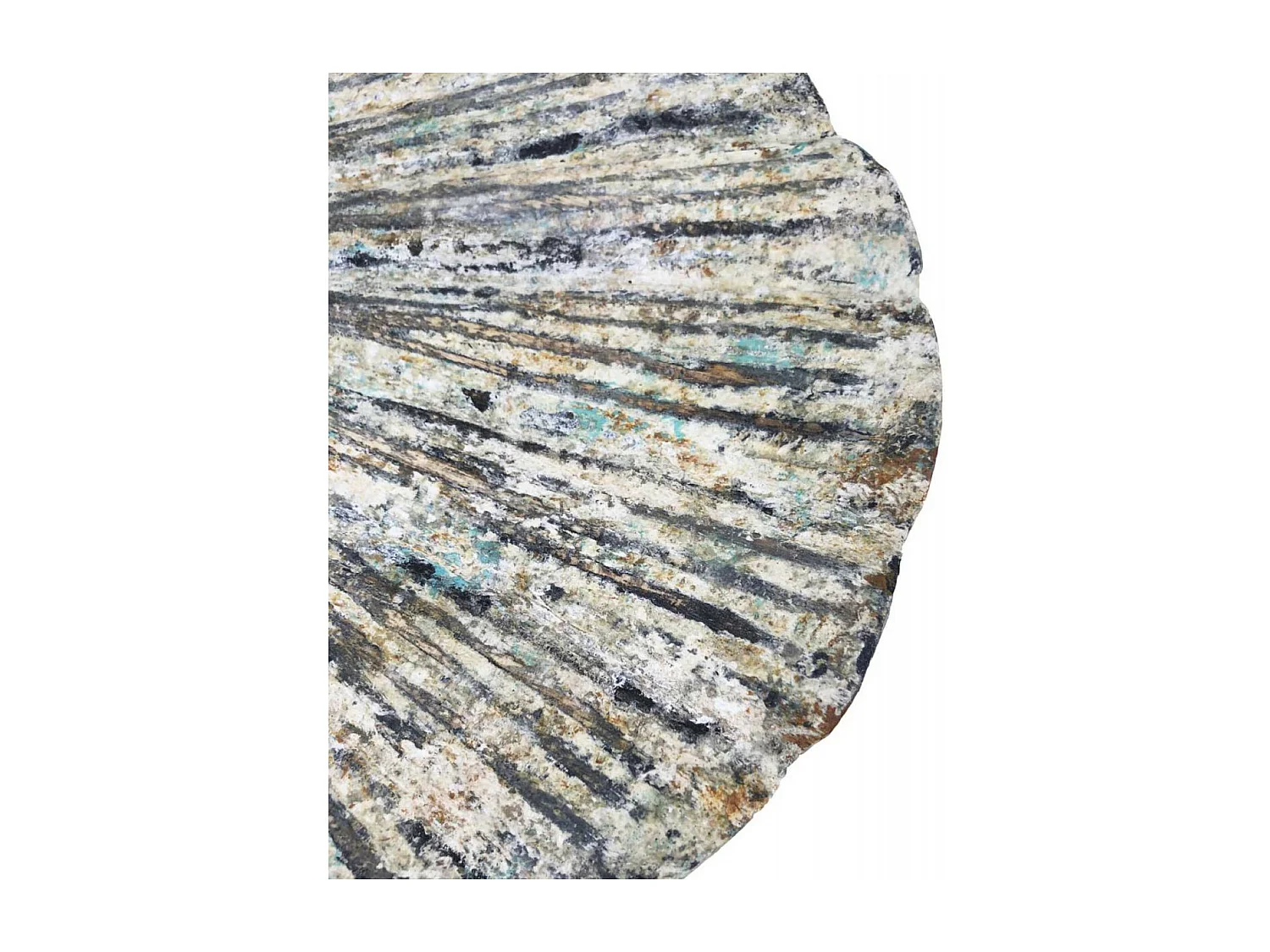 Sculpture huitre Bois Gris - Décoration d'Autrefois