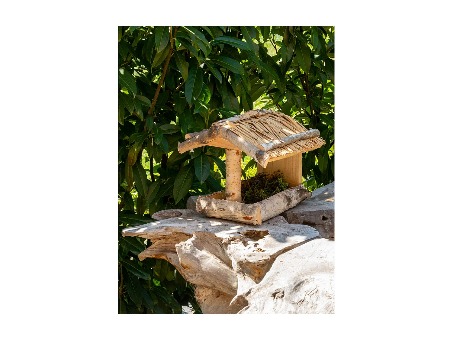 Comedero de pared de abedul