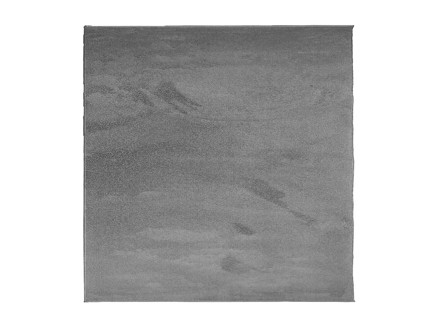 Sinto  Tapis OVIEDO à poils courts anthracite 200x200 cm