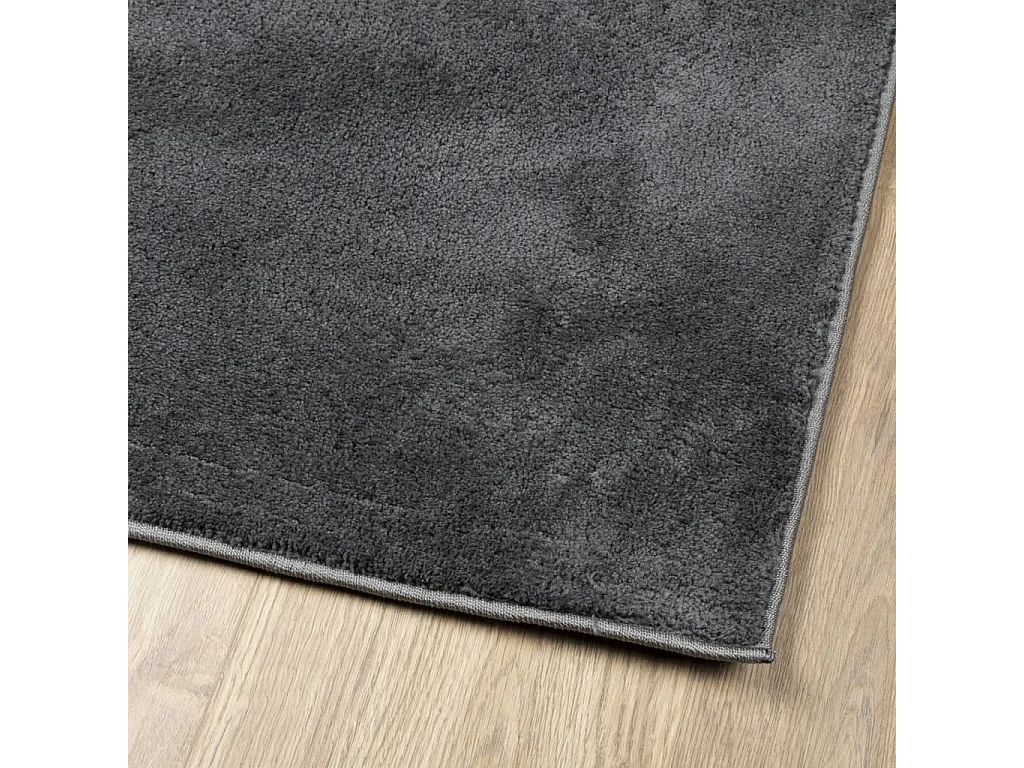 Sinto  Tapis OVIEDO à poils courts anthracite 200x200 cm