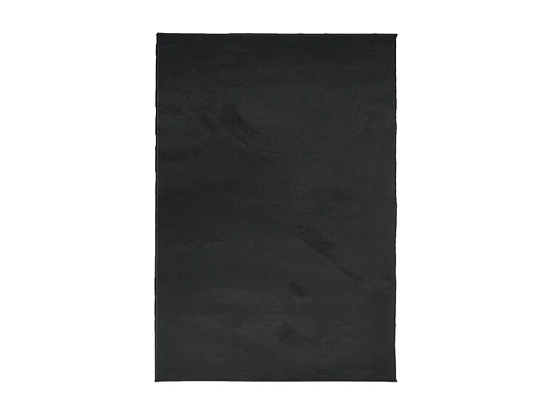 Sinto  Tapis OVIEDO à poils courts noir 200x280 cm