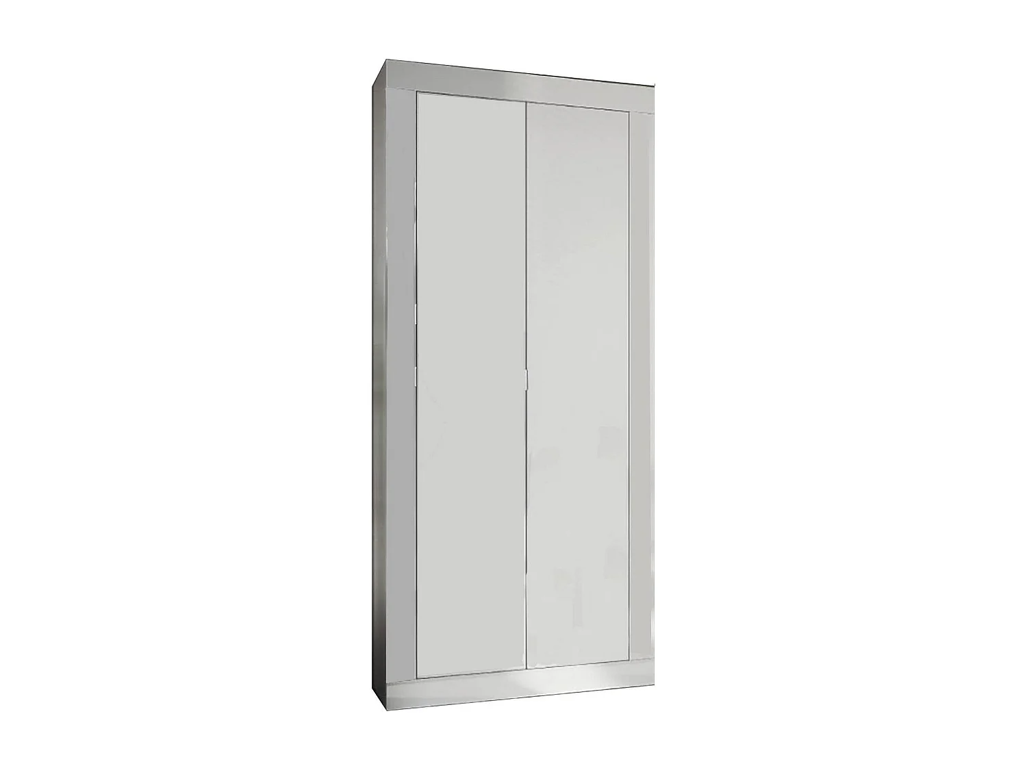 Kleiderschrank 2 Türen Dsiaka, Schlafzimmermöbel, Schrank, Garderobe, Made in Italy, 78x35 h185 cm, Glänzendes WeiÃŸ