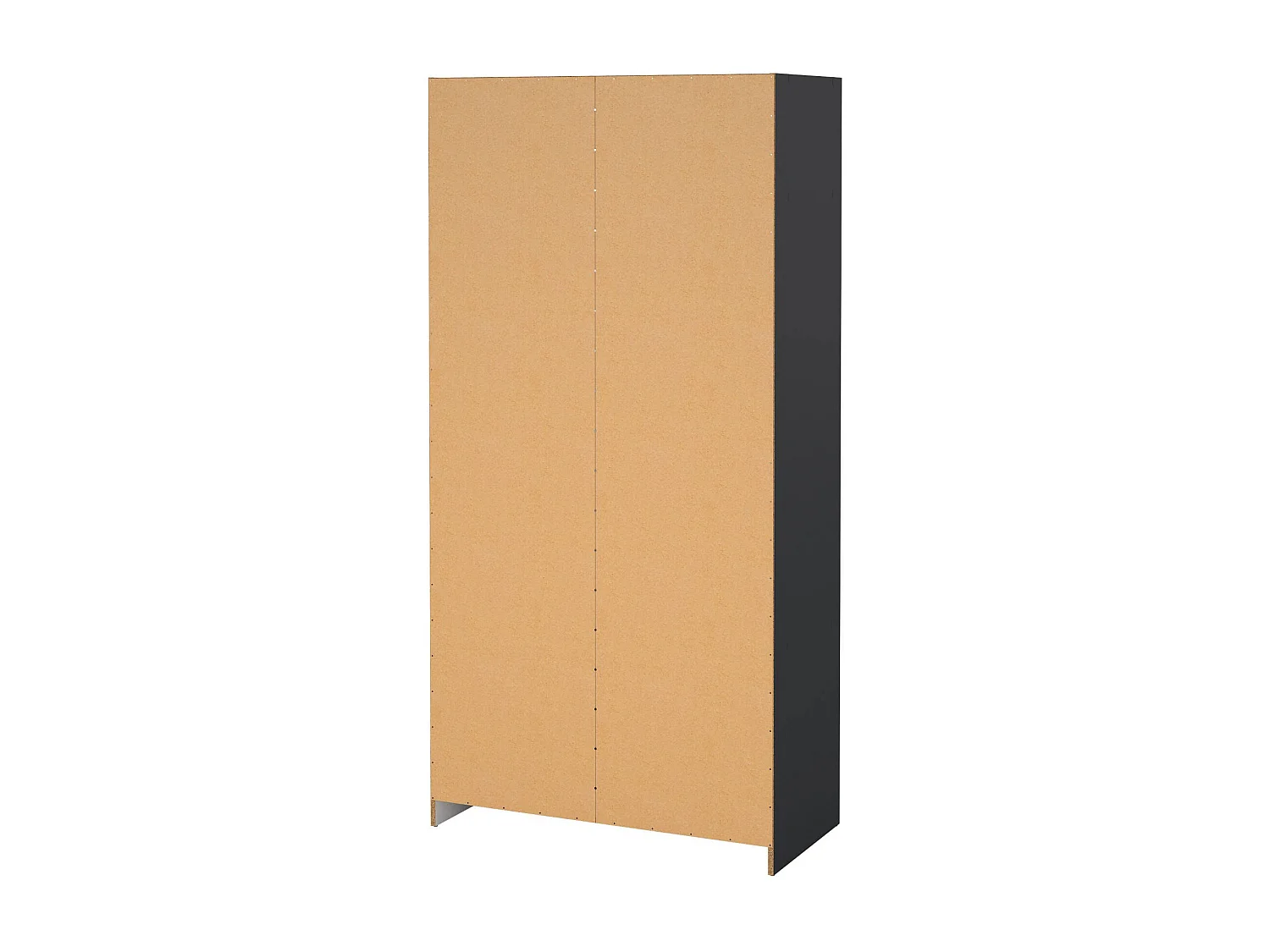 Dscopon 2-deurskast, Slaapkamermeubel, Inloopkast, Kledingkast, 99x50 h200 cm, Grijs