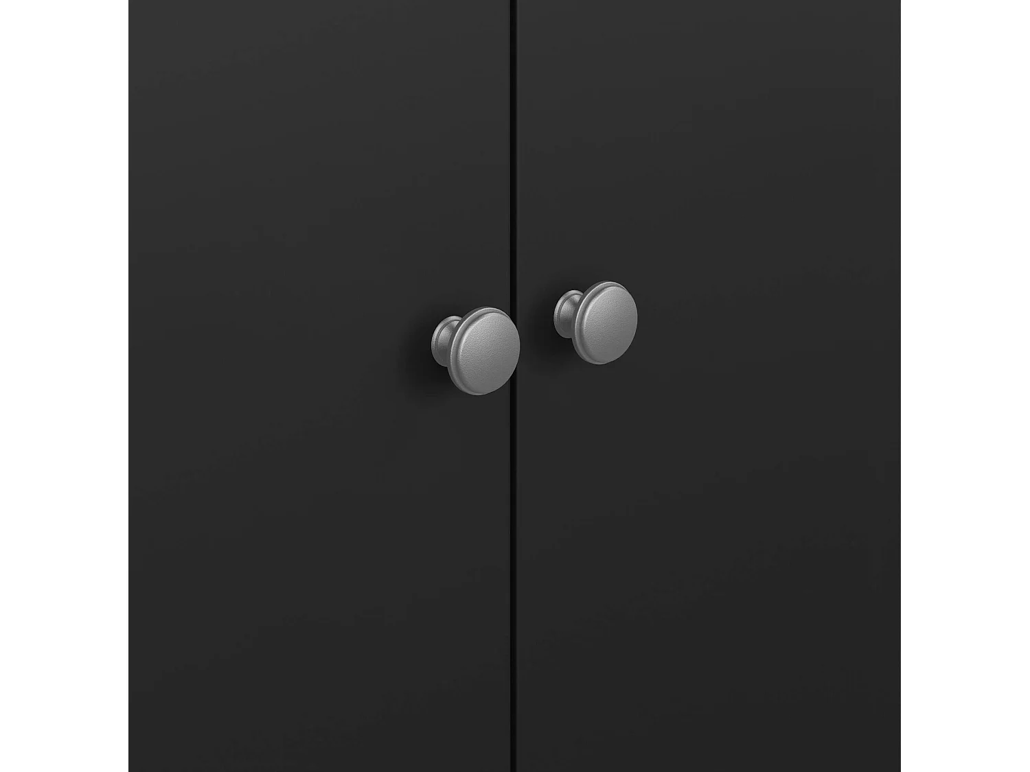 Garde-robe 2 portes Dsciacc, Meubles de chambre, Penderie de plain-pied, Placard à vêtements, 102x58 h199 cm, Noir