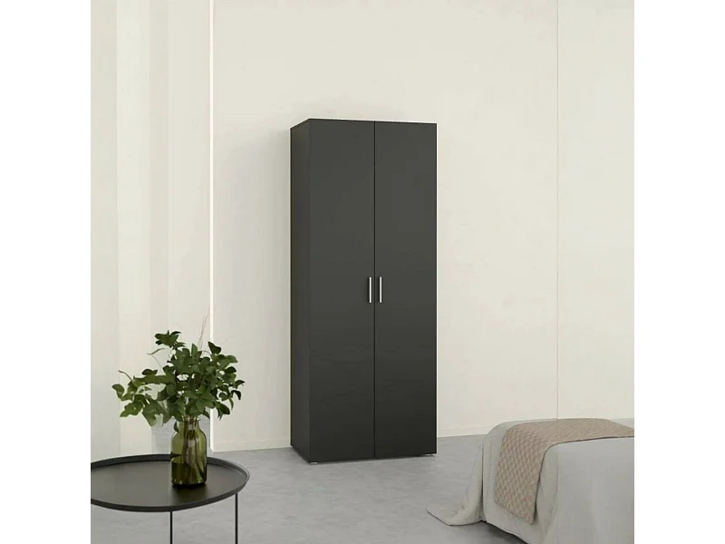 Kleiderschrank 2 Türen Dscamacc, Schlafzimmermöbel, Schrank, Garderobe, 79x50 h201 cm, Schwarz