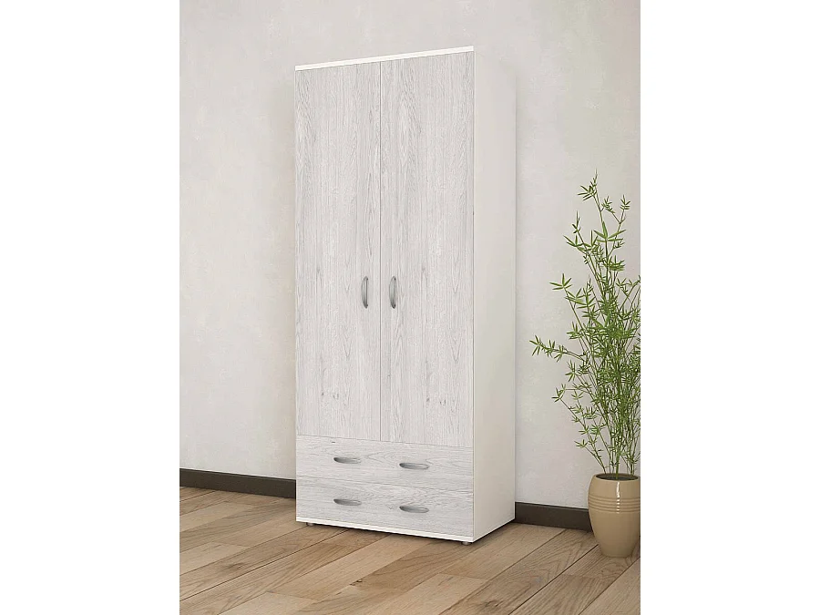 Dpruzz 2-deurskast, Slaapkamermeubel, Inloopkast met deuren, Kledingkast, Made in Italy, 80x52h170 cm, Wit en Grijs