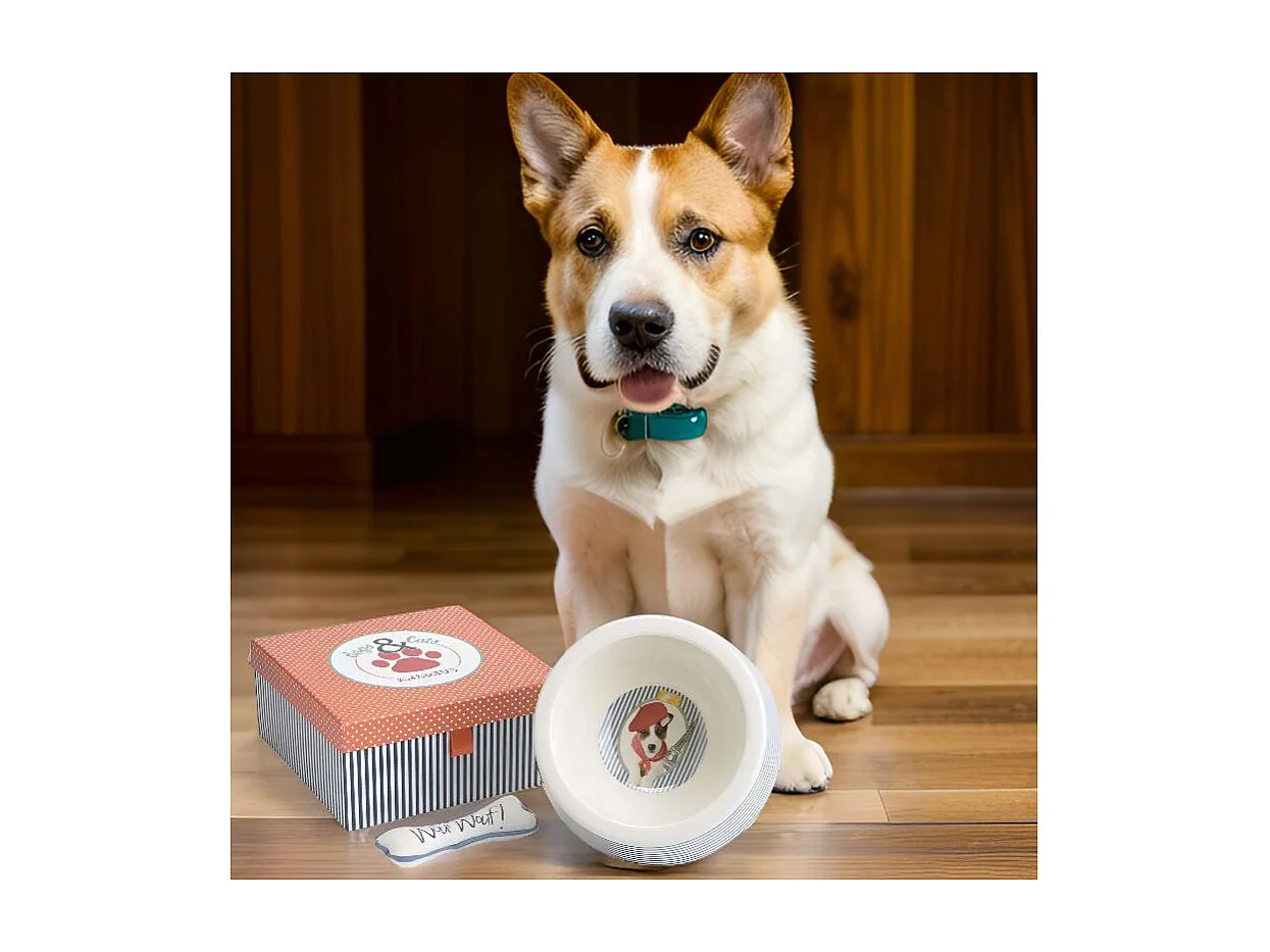Coffret cadeau chien