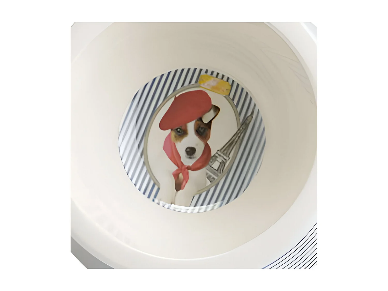 Coffret cadeau chien