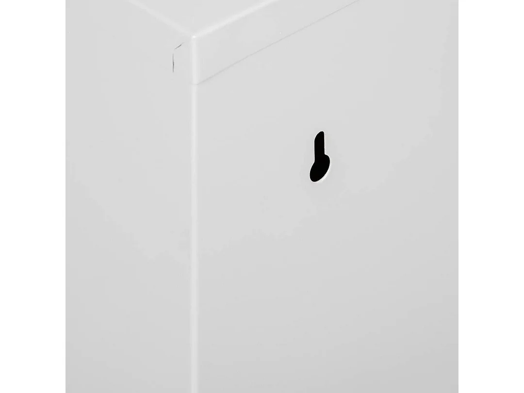 Borja vuilnisbak, Afvalbak, Bak voor gescheiden afvalinzameling, Kast voor afval, 60x25 h93 cm, Wit