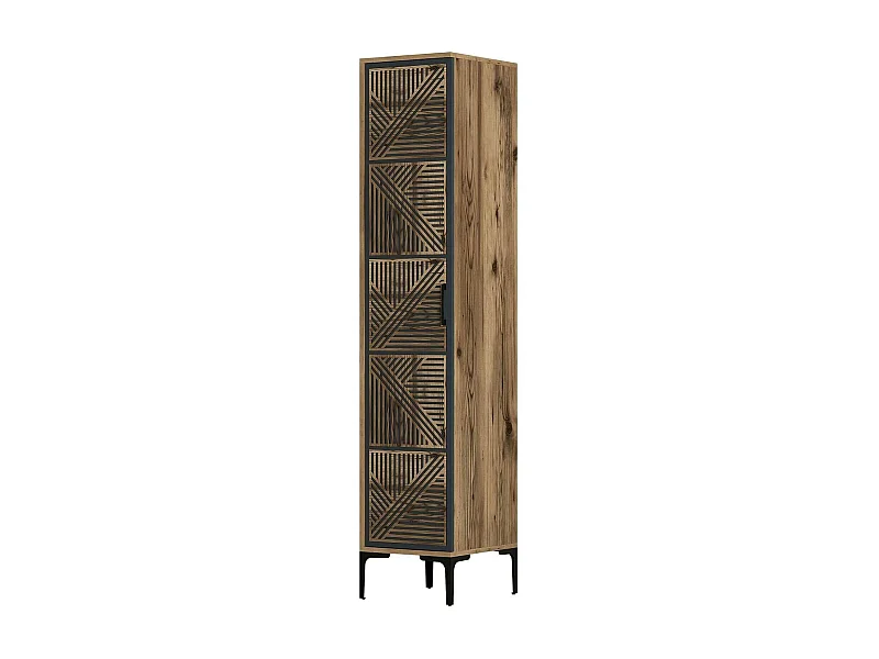 Armoire polyvalente 1 porte Dnuytinc, Meubles multifonctionnels, Casier à chaussures, Support à chaussures pour armoire, 48x40h201 cm, Noyer et Anthracite