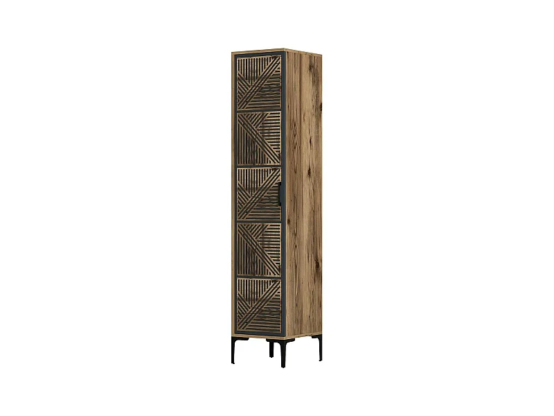 Armoire polyvalente 1 porte Dnuytinc, Meubles multifonctionnels, Casier à chaussures, Support à chaussures pour armoire, 48x40h201 cm, Noyer et Anthracite