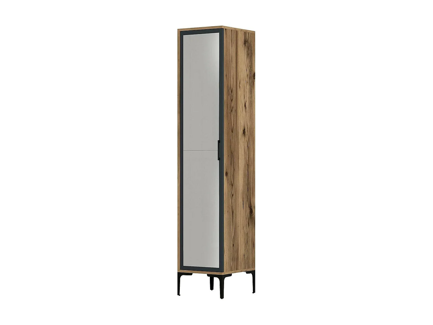 Armadio Multiuso 1 Anta Asfodelo, Appendiabiti, 48x201h cm Nero Antracite