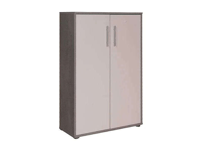 Roupeiro multiusos Dpazzin com 2 portas, Armário auxiliar, Sapateira, Estante multifuncional com 2 portas, 79x34h118 cm, Cimento e Branco