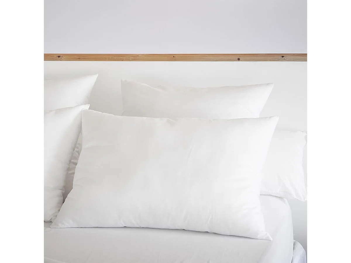 SOFTLINE - Oreiller Coton anti-acariens 50 x 70 cm