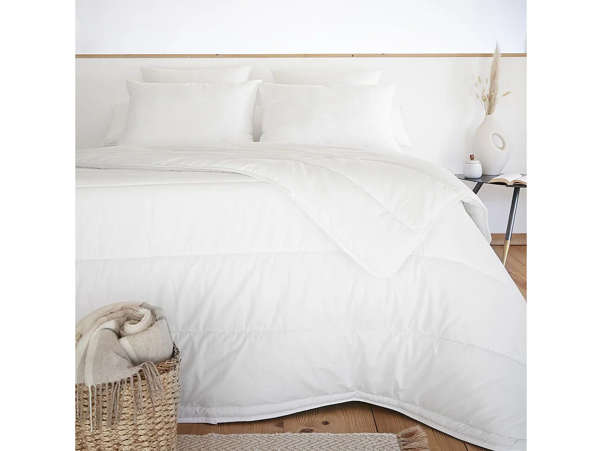 SOFTLINE - Oreiller Coton anti-acariens 50 x 70 cm