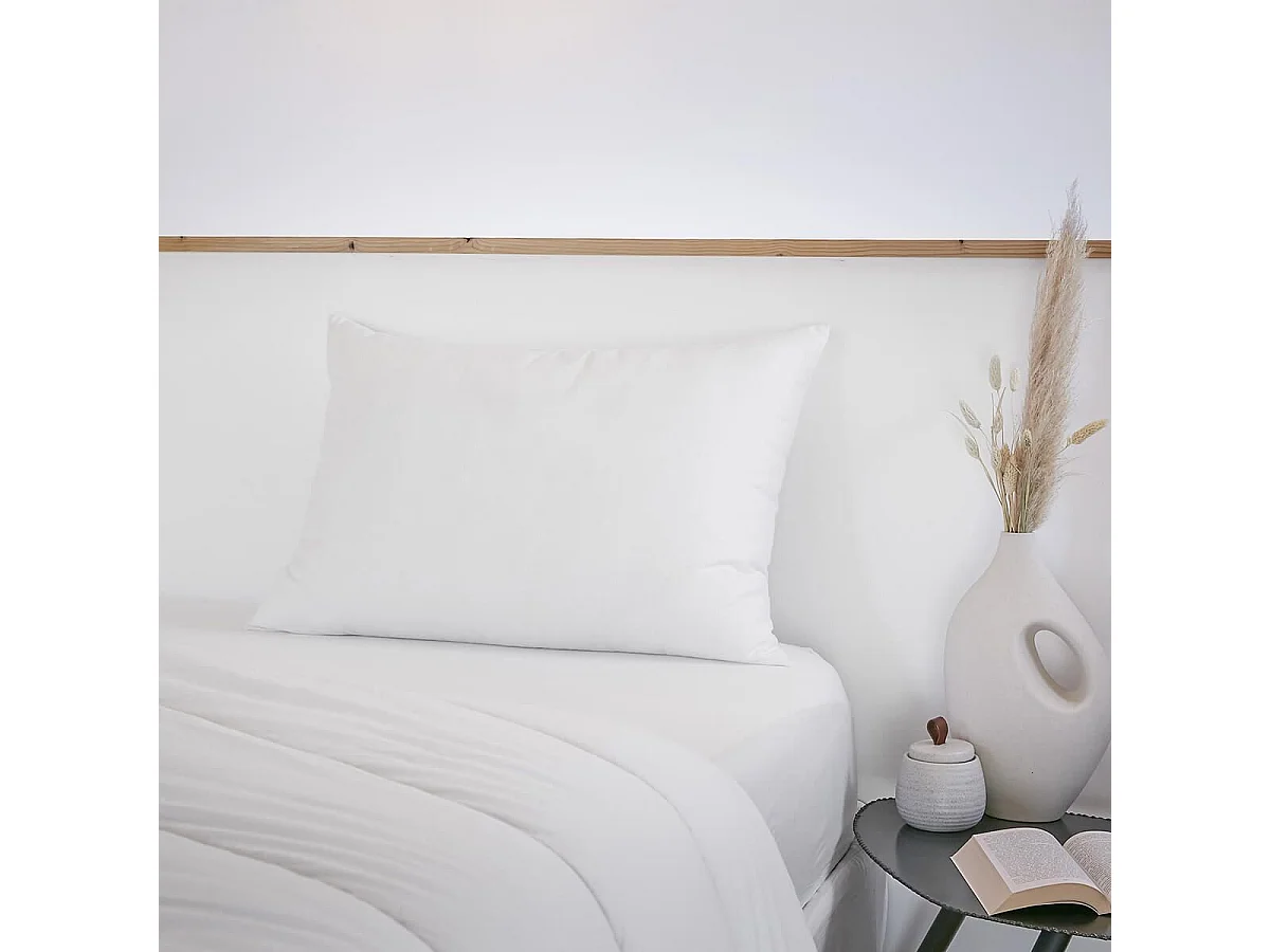 SOFTLINE - Oreiller Coton anti-acariens 50 x 70 cm