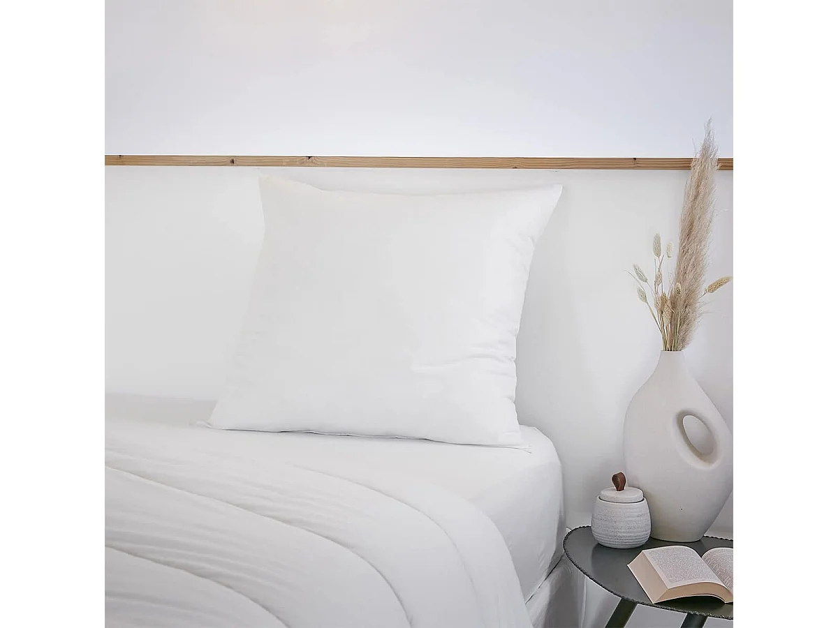 SOFTLINE - Oreiller Coton anti-acariens 60 x 60 cm