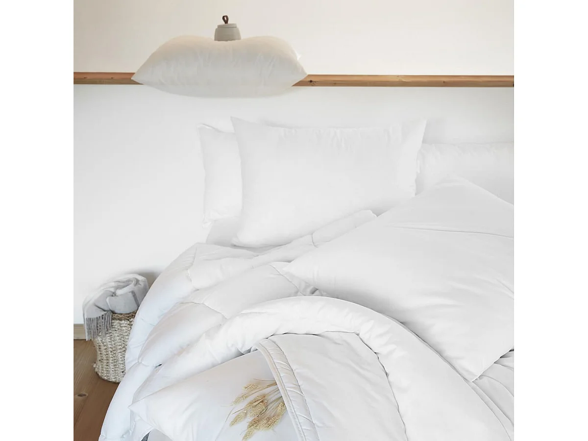 SOFTLINE - Oreiller Coton anti-acariens 60 x 60 cm