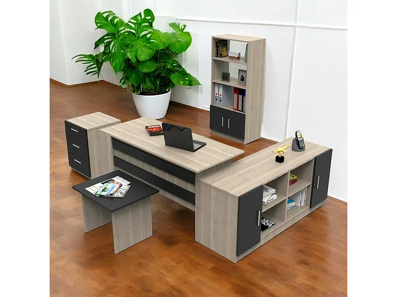 Drasmusse bureauset, Studiecompositie, Bureauset, Bureau- en ladekastset, Eiken en Zwart