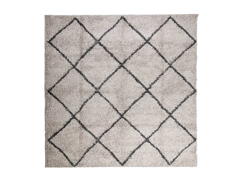 Vito  Tappeto Shaggy PAMPLONA Pelo Lungo Beige e Antracite 160x160 cm