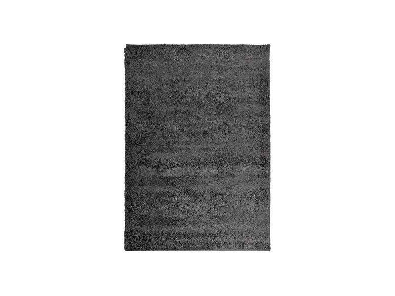 Vito  Tapis shaggy PAMPLONA poils longs moderne anthracite 160x230 cm
