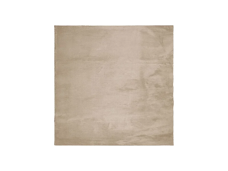 Hester  Teppich HUARTE Kurzflor Weich und Waschbar Sandfarben 200x200cm