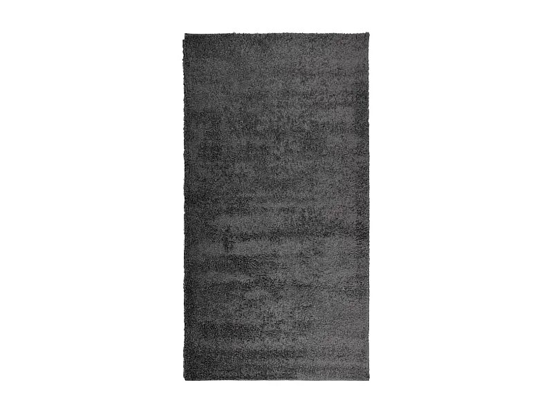 Vito  Tapis shaggy PAMPLONA poils longs moderne anthracite 80x150 cm