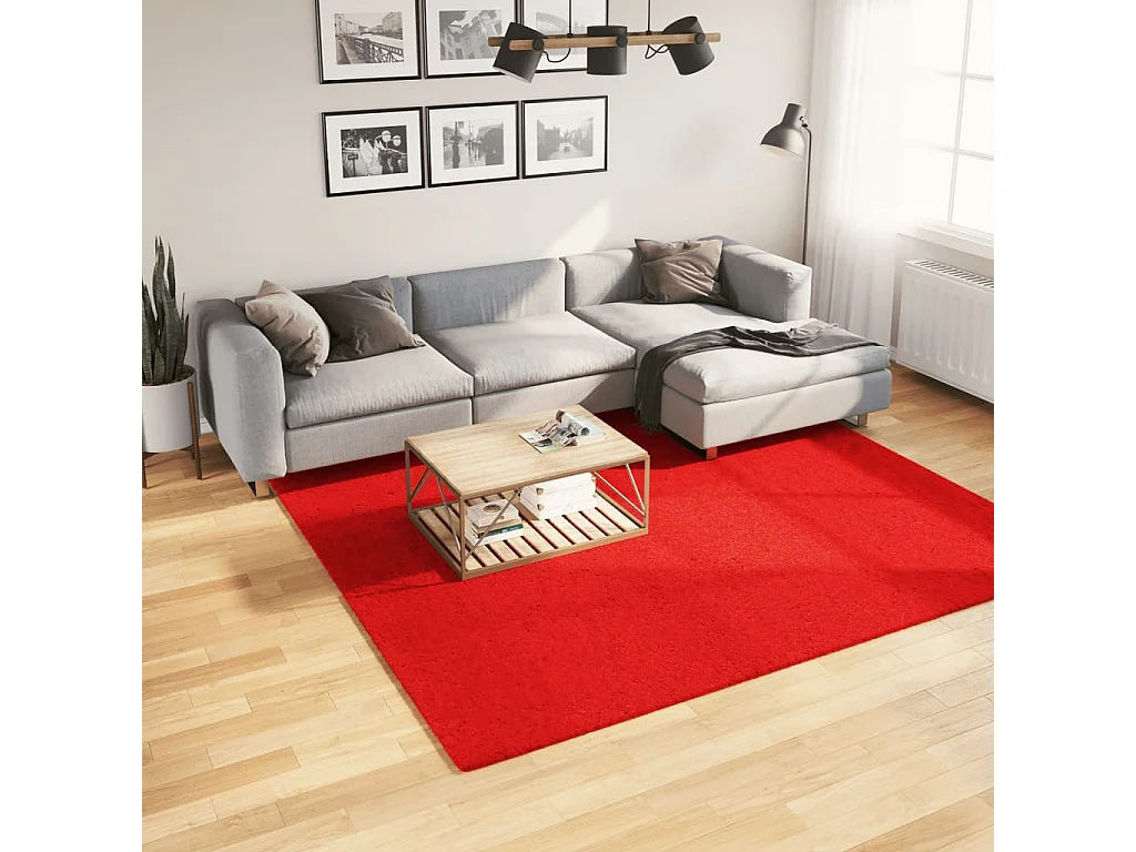 Prolenta Premium -  Vloerkleed HUARTE laagpolig zacht wasbaar 240x240 cm rood