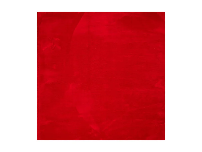 Prolenta Premium -  Vloerkleed HUARTE laagpolig zacht wasbaar 240x240 cm rood