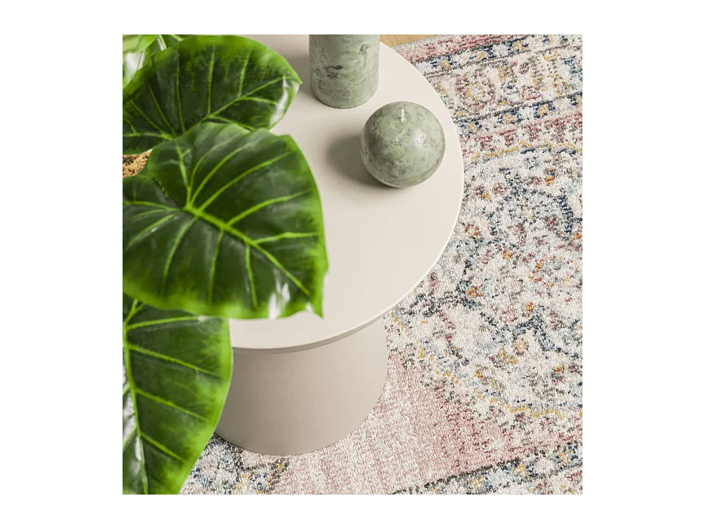 Prolenta Premium -  Vloerkleed ARBIZU binnen en buiten vintage stijl 200x280 cm