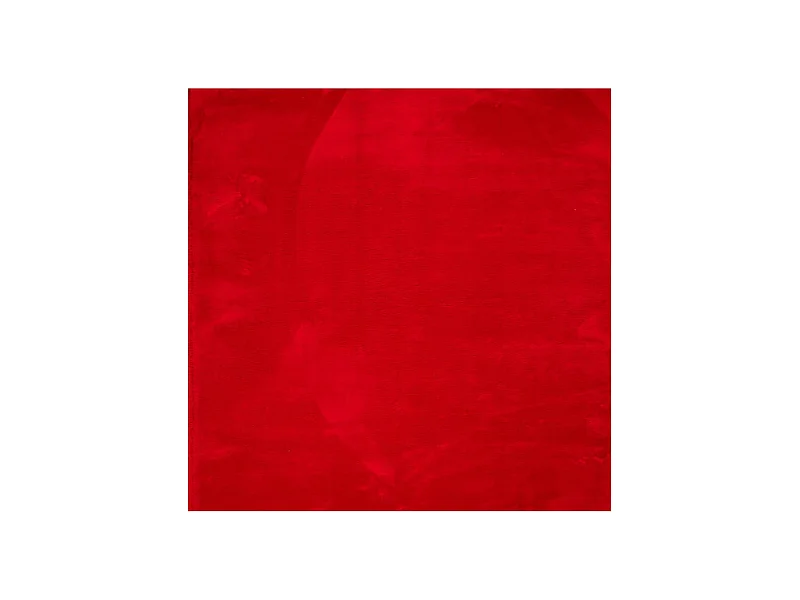 Prolenta Premium -  Vloerkleed HUARTE laagpolig zacht wasbaar 200x200 cm rood