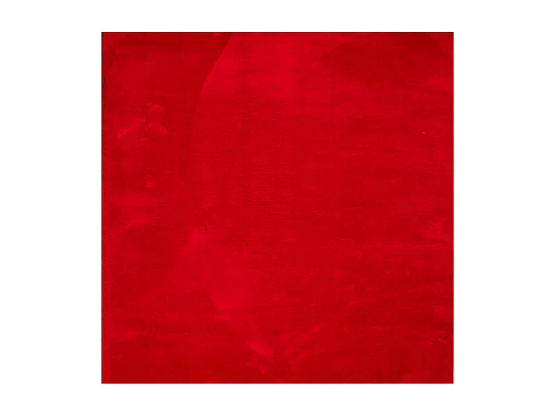 Prolenta Premium -  Vloerkleed HUARTE laagpolig zacht wasbaar 200x200 cm rood