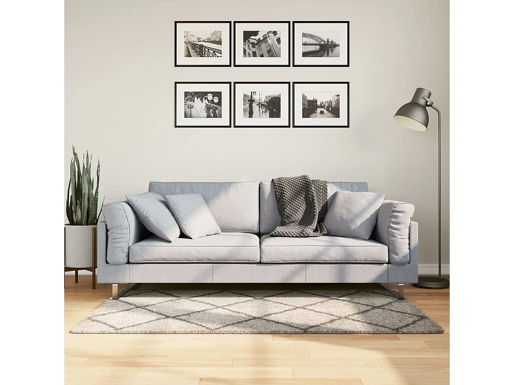 Vito  Teppich Shaggy Hochflor Modern Beige und Anthrazit 80x150 cm