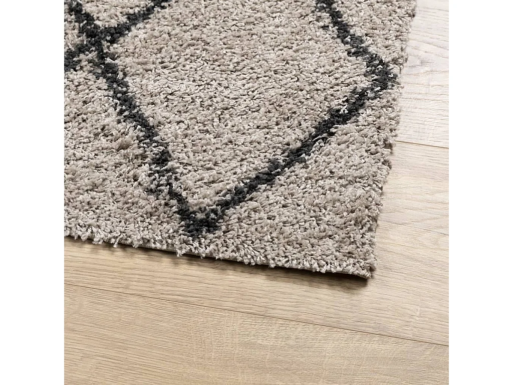 Vito  Tapis shaggy à poils longs moderne beige anthracite 80x150 cm