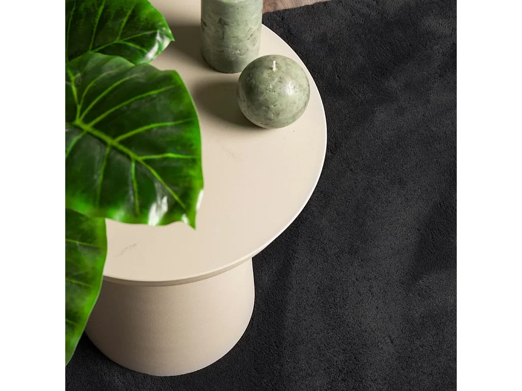 Prolenta Premium -  Tapis HUARTE à poils courts doux et lavable noir 80x150 cm