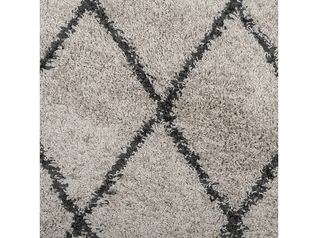 Vito  Tapis shaggy à poils longs moderne beige anthracite 240x340 cm