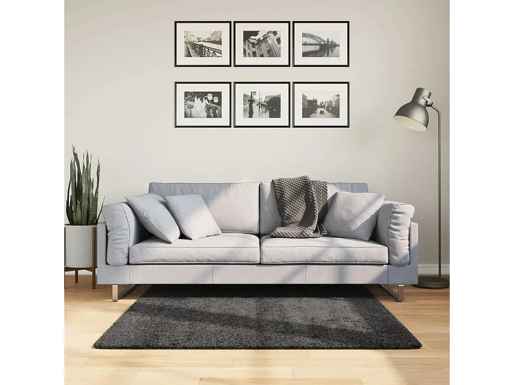 Vito  Vloerkleed PAMPLONA shaggy hoogpolig 120x120 cm antraciet