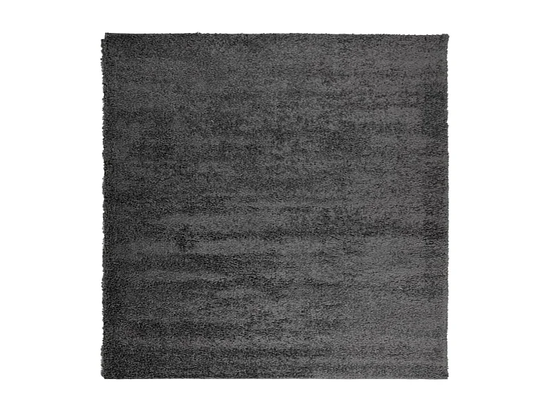 Vito  Vloerkleed PAMPLONA shaggy hoogpolig 120x120 cm antraciet