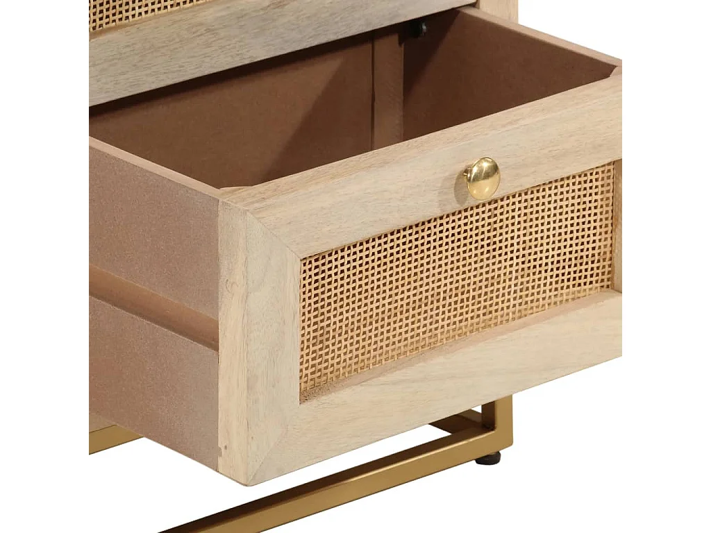 Garden Furniture -  Nachtkastje 40x30x50 cm massief mangohout en ijzer