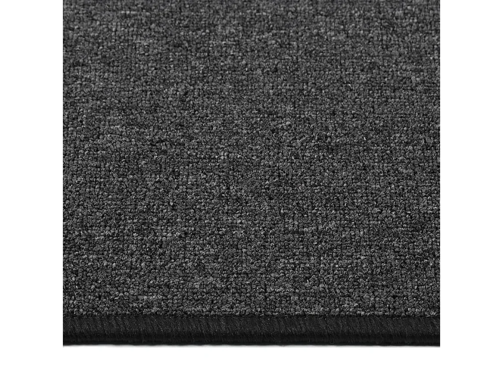 Pelle  Tapis de couloir Anthracite 50x150 cm